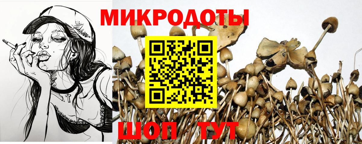 Галлюциногенные грибы мицелий  Вход с VPN  Братск 